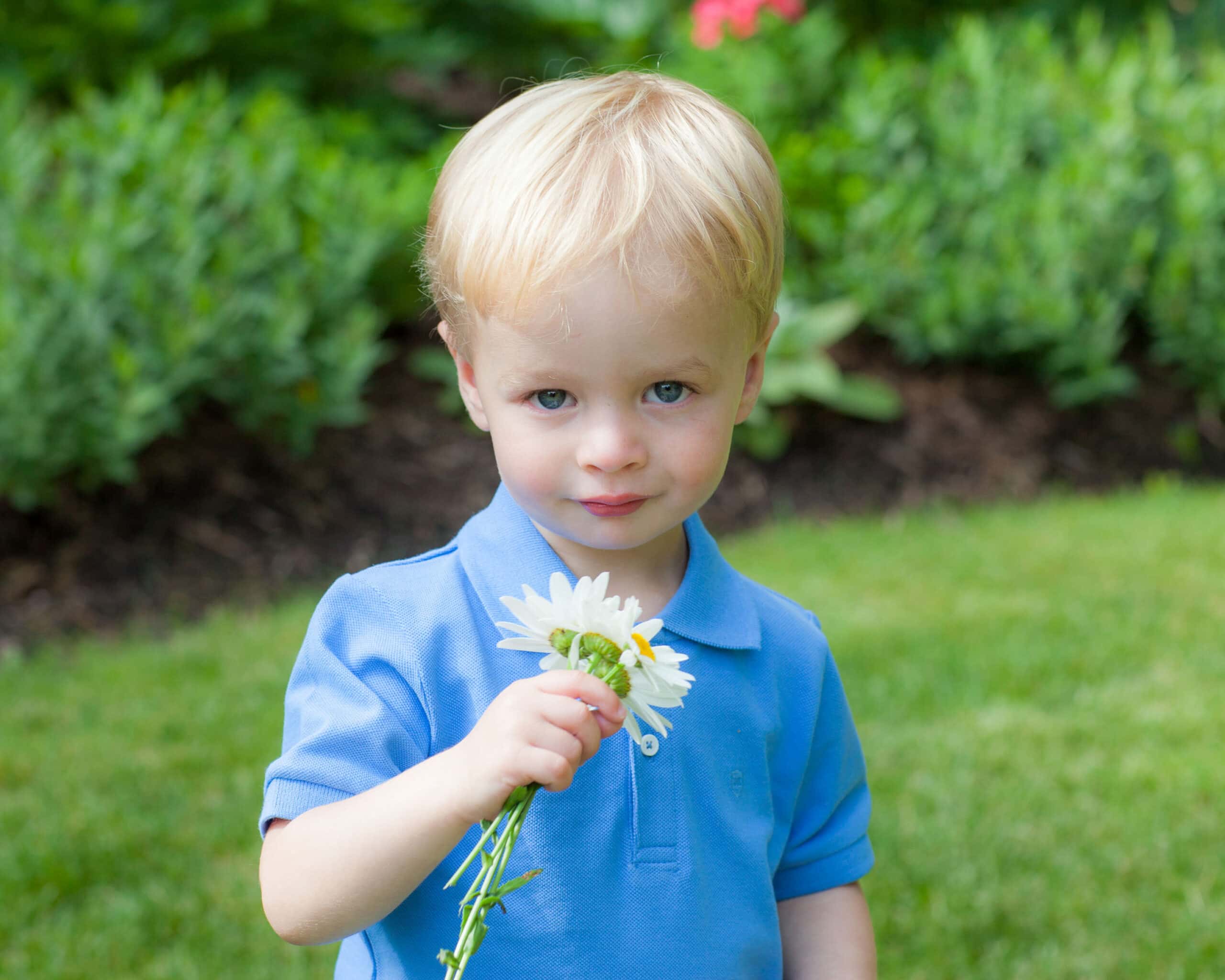 Milwaukee WI Family Portraits Photographers